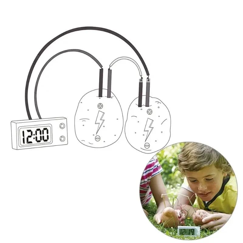 Nuovo Giocattolo Montessori per Bambini: Patata a Batteria a Secco, Giocattoli Educativi Scientifici per Bambini, Esperimento Tecnologico, Ausili Didattici Scolastici