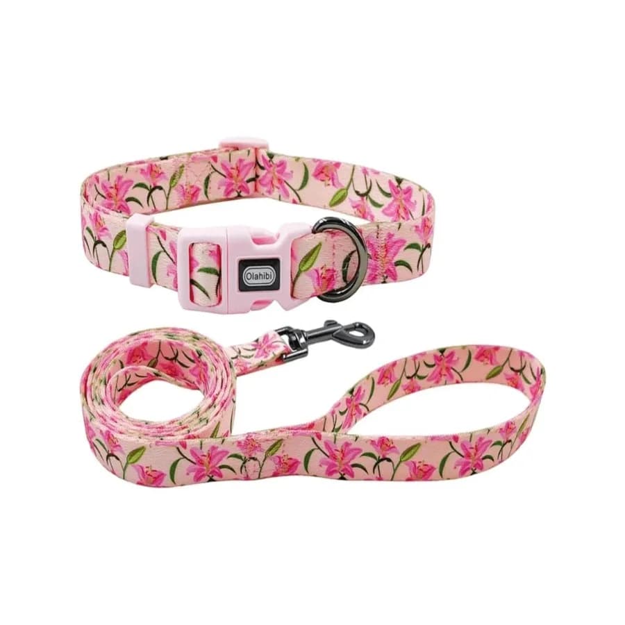 【New style】Olahibi Dog Collar And Leash Set, Cute Pink Daisy Pattern, Polyester Material, 5ft Leash, For Small Dogs S, Daisy Se