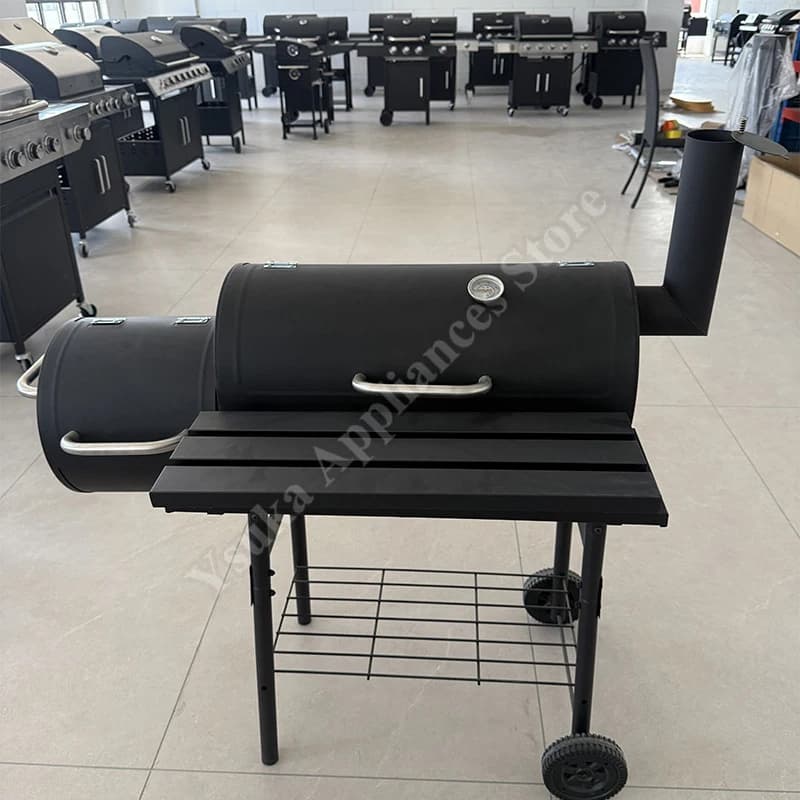 Griglia a Carbone per Barbecue da Esterno, per Uso Domestico e Campeggio, per Cottura e Affumicatura di Pesce