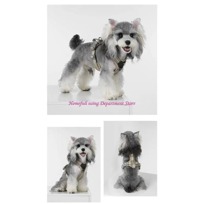 Daily Walking Harness with No Pull Control for Outdoor Pet Use and Walks