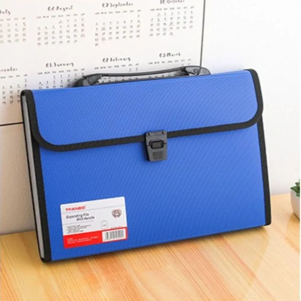 Cartella Portadocumenti Espandibile A4 con 13 Tasche, Organizzatore a Fisarmonica, Borsa Porta Documenti, Portafoglio per Archiviazione