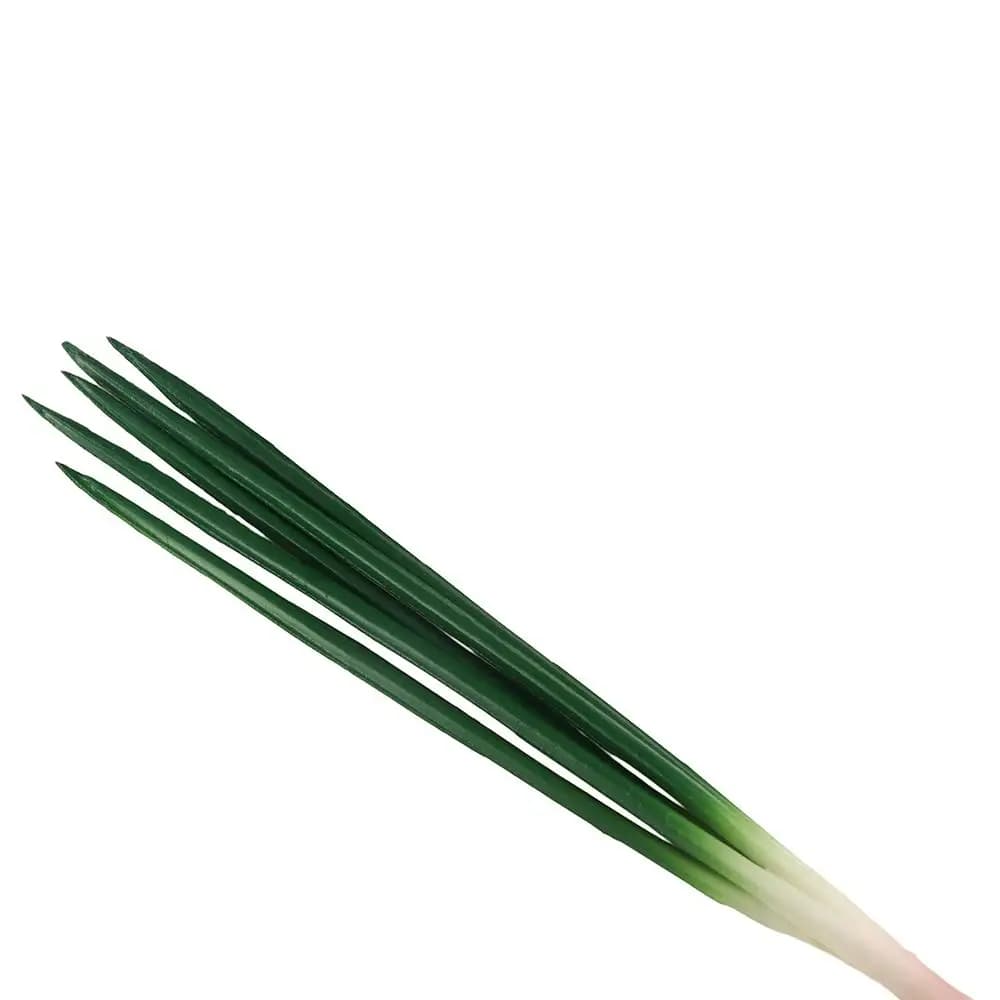 Cipolla Verde Artificiale Realistica in PU, Pianta Finta, Imitazione di Cipollotti, Modello Decorativo da Tavolo