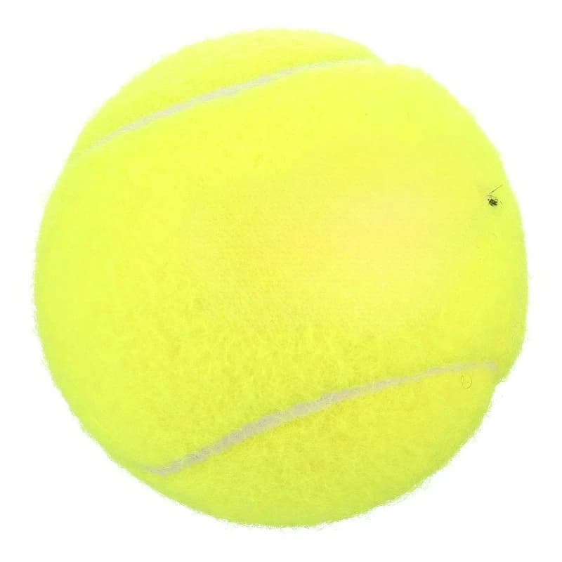 Championship Extra Duty Tennis Ball - 3 Ball Can