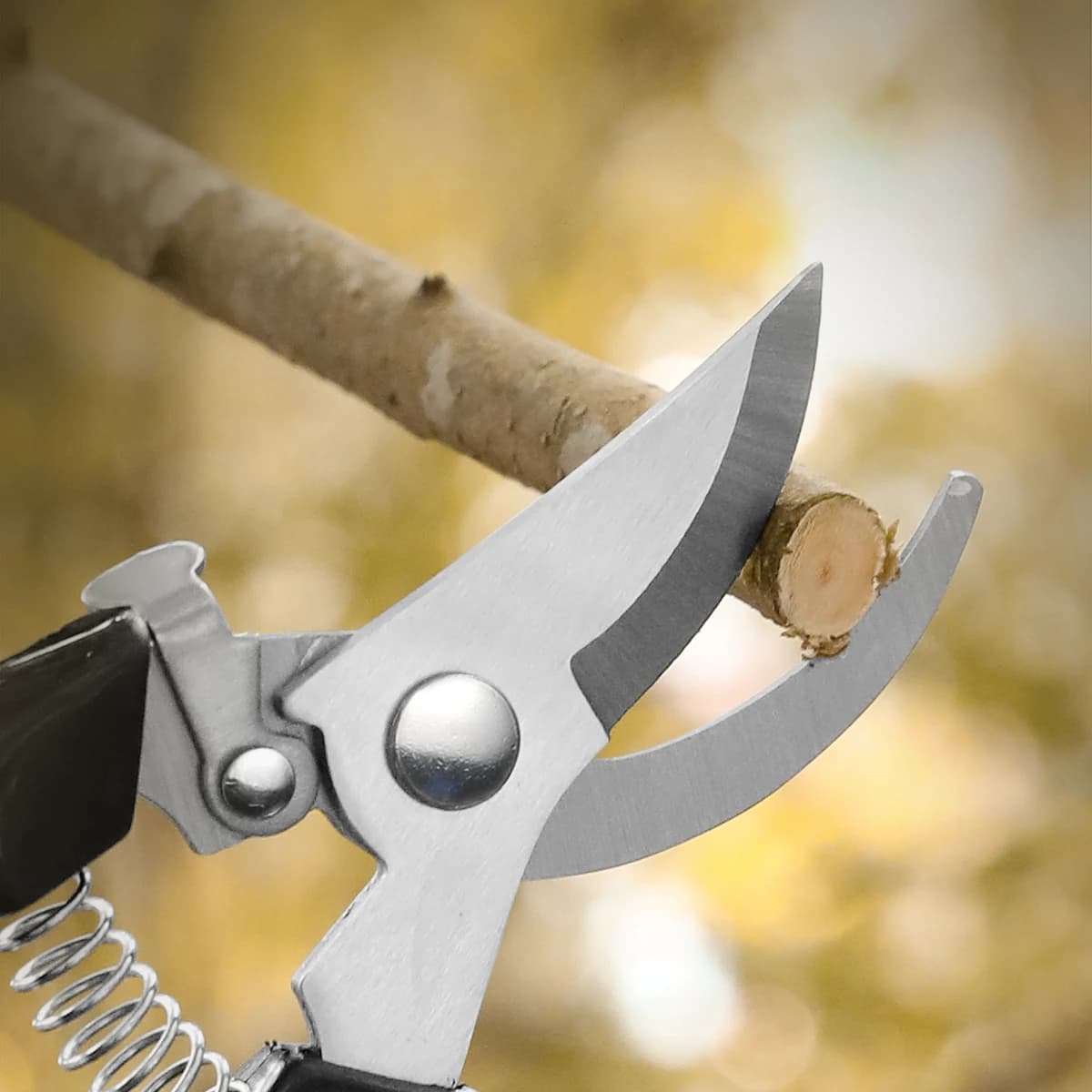 Stainless Steel Potting Scissors, Grafting and Gardening Tools, Coppers and Fruit Trees