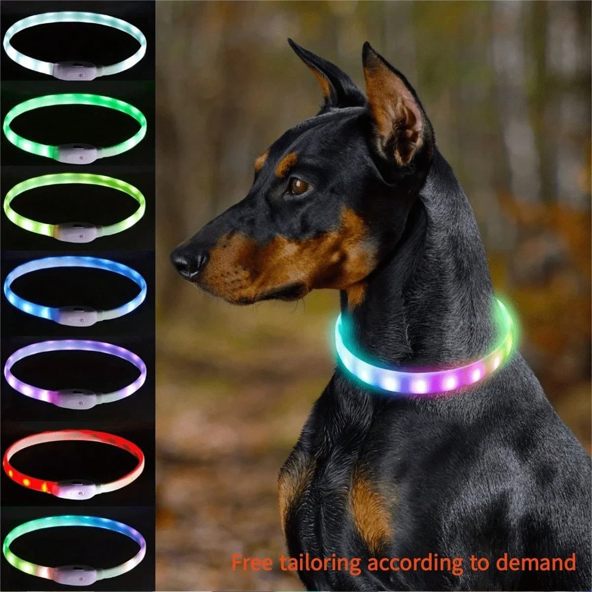 Collare Luminoso per Cani con Lunghezza Regolabile e Guinzaglio Illuminato per Passeggiate Notturne
