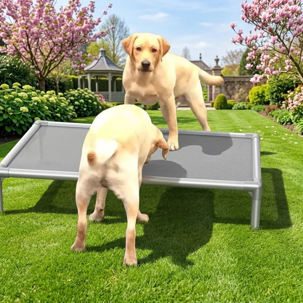 Dog Bed Hollow Aluminum Alloy Frame Anti Slip Stand Detachable Quick Dry Fabric Portable Washable Pet Rest Platform for Pets