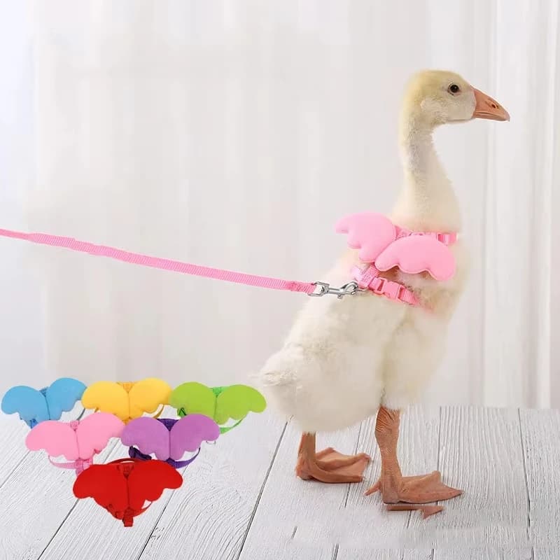 Guinzaglio per anatra con ala carina, imbracatura per gatti, sicurezza per cuccioli, cani, gattini, corda da traino regolabile, forniture per animali domestici, piccoli animali