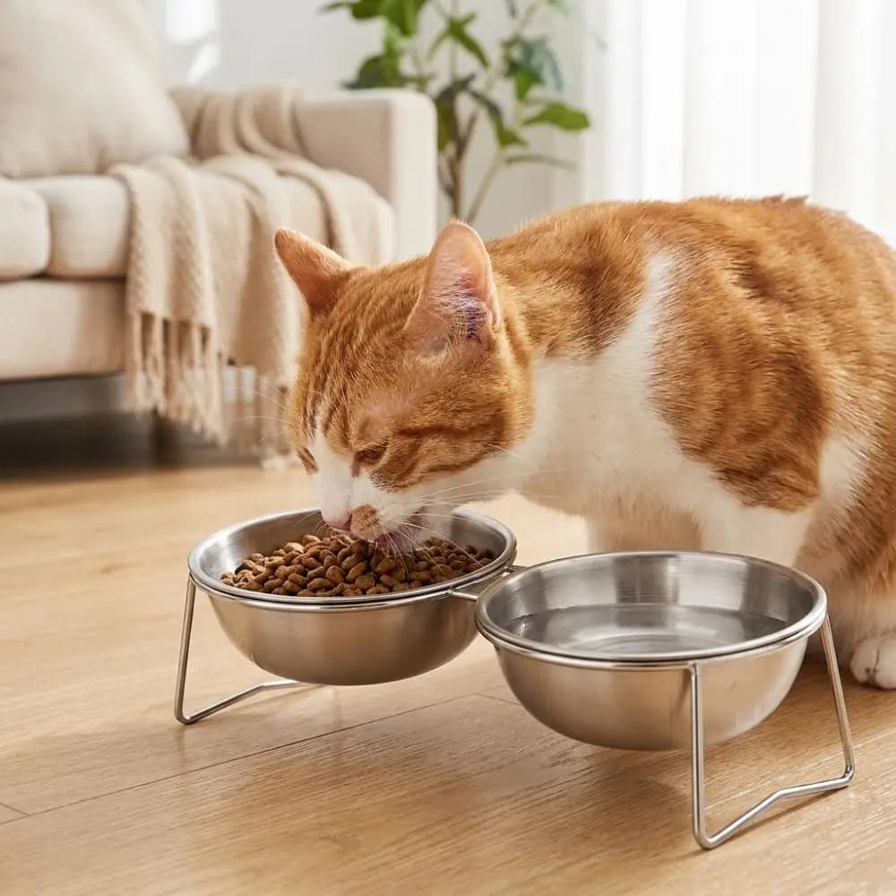 Large Capacity Stainless Steel Cat Bowl Neck Protection Rust Proof Elevated Pet Food Bowl Shatterproof Nonslip Cat Food Feeder