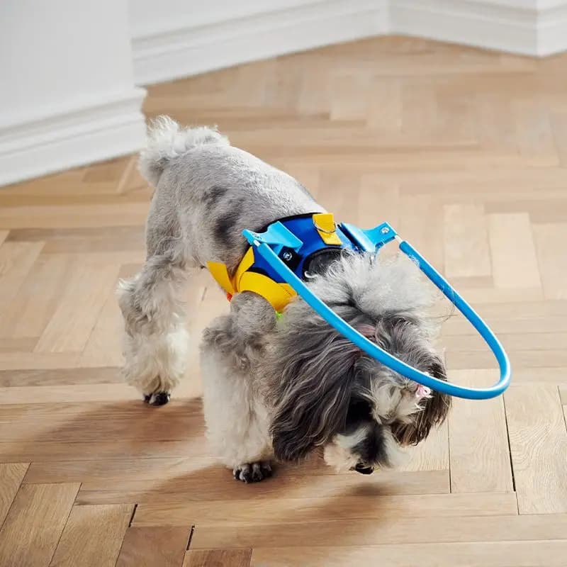 Dispositivo di guida per imbracatura circolare anti-collisione per animali domestici 5 taglie per cani di piccola taglia B03E