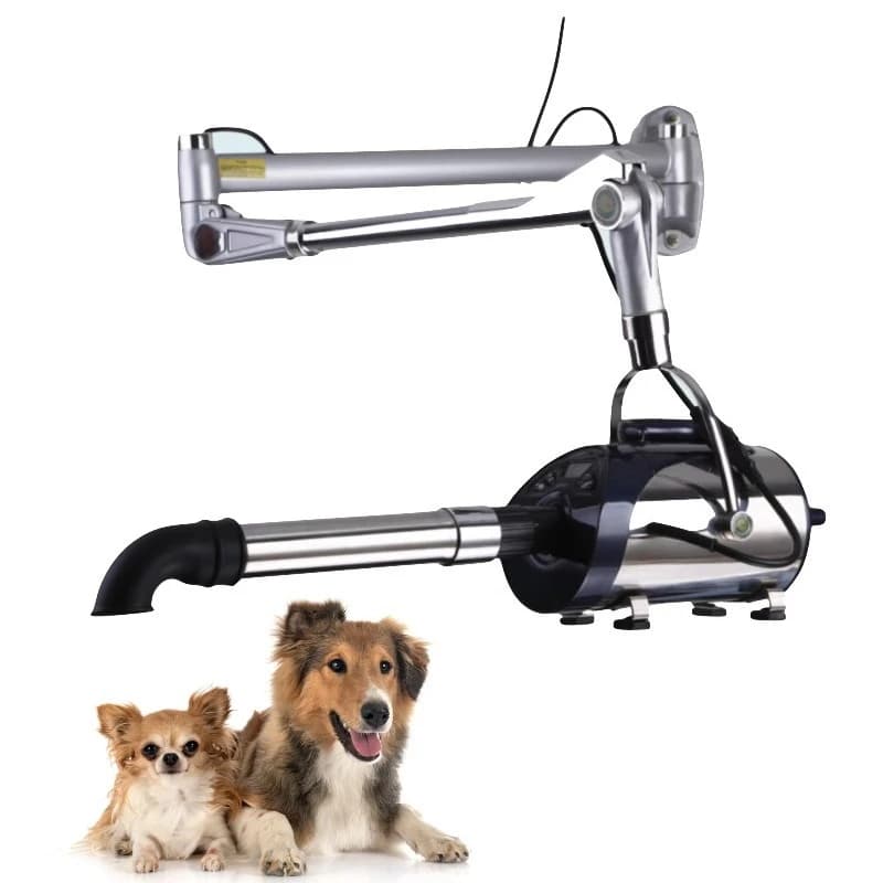 Asciugacapelli portatile per cani e gatti a 4 ugelli in acciaio inossidabile Asciugacapelli a forza di calore regolabile e soffiatore d'acqua per forniture per animali domestici