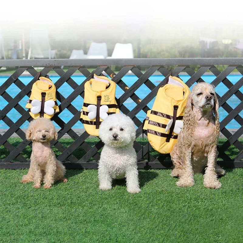 Giubbotto di salvataggio estivo per animali domestici, stile pettorina impermeabile e traspirante, giubbotto di sicurezza per il nuoto dei cani