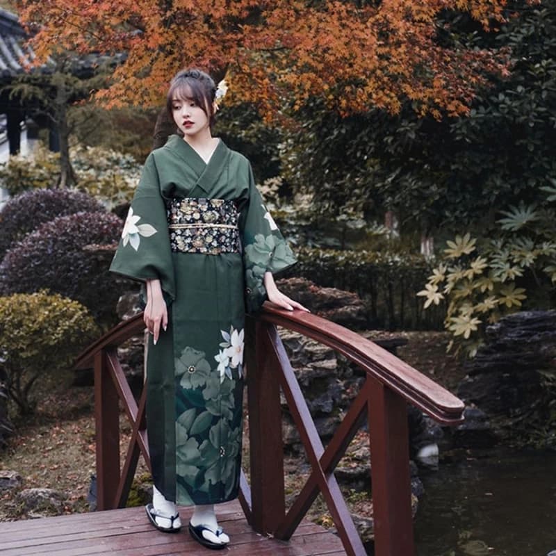 Traditional Kimono improved by woman, banquet, dance, clothing, elegant vintage clothes, photo shoot, kimono, bathrobe