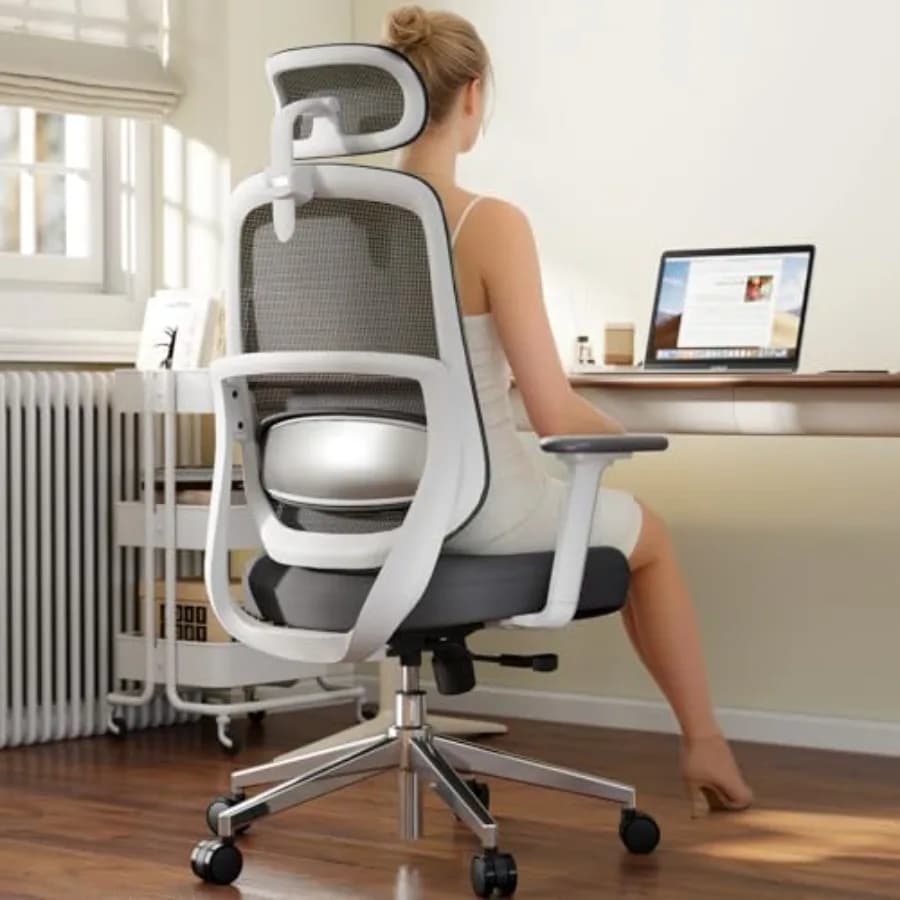 Ergonomic Office Chair, Home Office Desk Chairs, 3D Lumbar port High Back Desk Chair, Comfortable Computer and Gaming Chair for