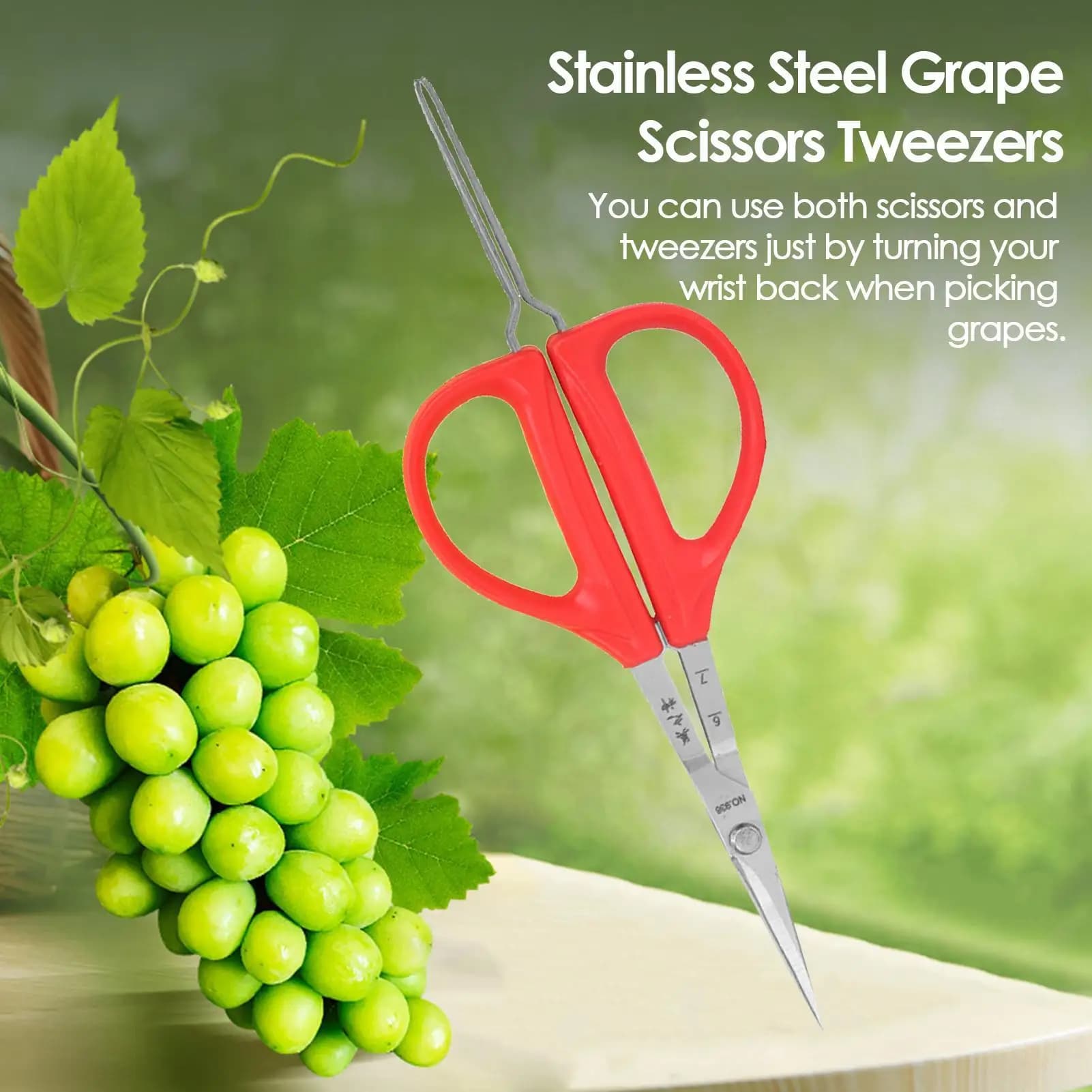 Scissors for grapes Shelf shears with tweezers Garden tool Patch for vegetables Bonsai Pick grapes Special scissors Garden tools