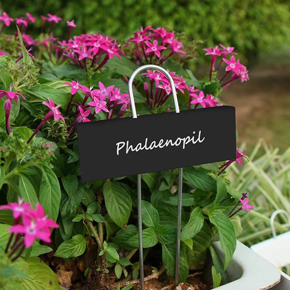 8 Pieces Iron for Plants, Vegetables for Plants, Plants, Plants for Plants, Flowers, Vegetables, Fruit Trees