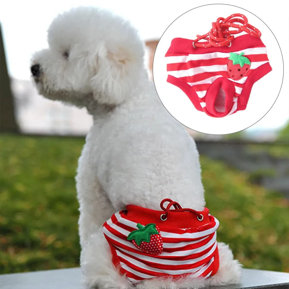 Pannolini per Cuccioli Maschi, Biancheria Intima Igienica Riutilizzabile, Mutandine Fisiologiche per Addestramento, Taglia M, Rosso e Bianco