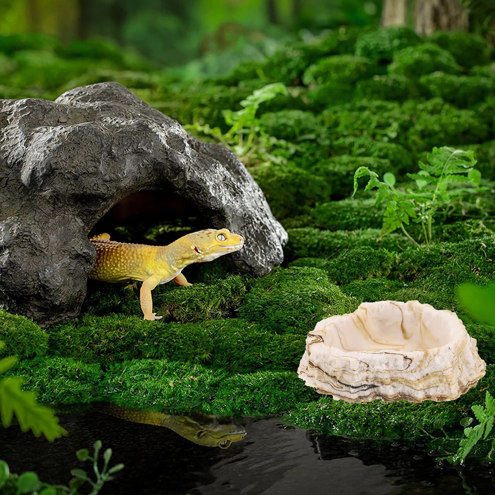 Ciotola per Rettili in Resina Effetto Roccia Naturale, Bordi Lisci Sicuri, Base Antiscivolo per Lucertole, Tartarughe e Animali Striscianti, Contenitore per Cibo e Acqua