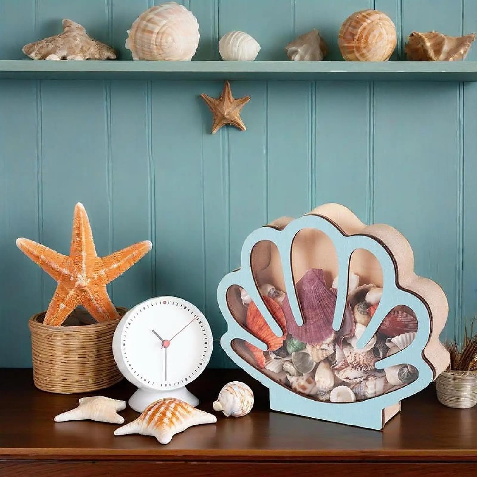 Scatola espositiva per conchiglie Collettore versatile Barattolo di denaro Organizzatore decorativo per conchiglie Custodia in acrilico Scatola per decorazioni a tema oceano