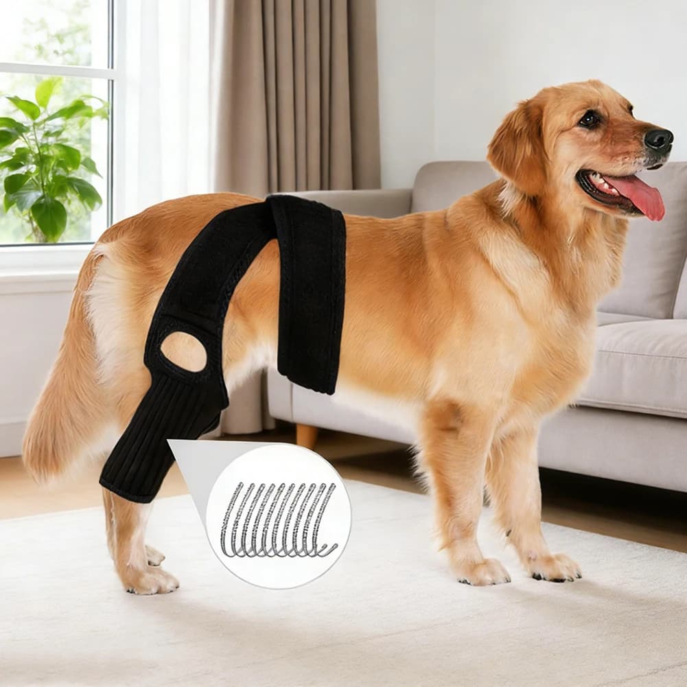 Coperture Regolabili per la Protezione delle Articolazioni degli Animali Domestici, Ginocchiera Traspirante e Confortevole per Cani, Supporto per Zampe Posteriori, Protezione per Artrite Canina, Fascia per Zampe