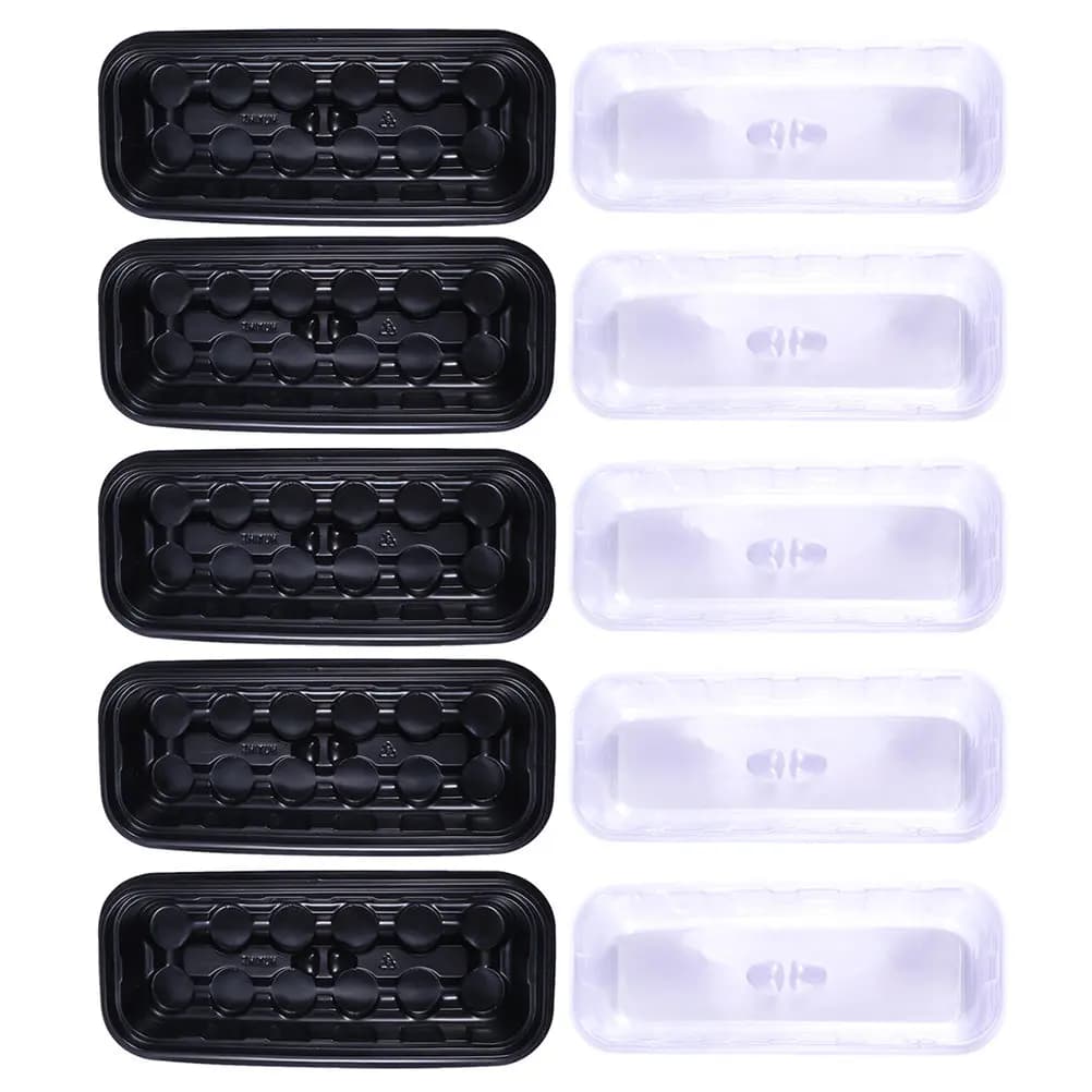 Set of 5 Trays for Germination Plants with Transparent Cover, Seed and Starting Kits, Vetrina Vase, Seed Plate