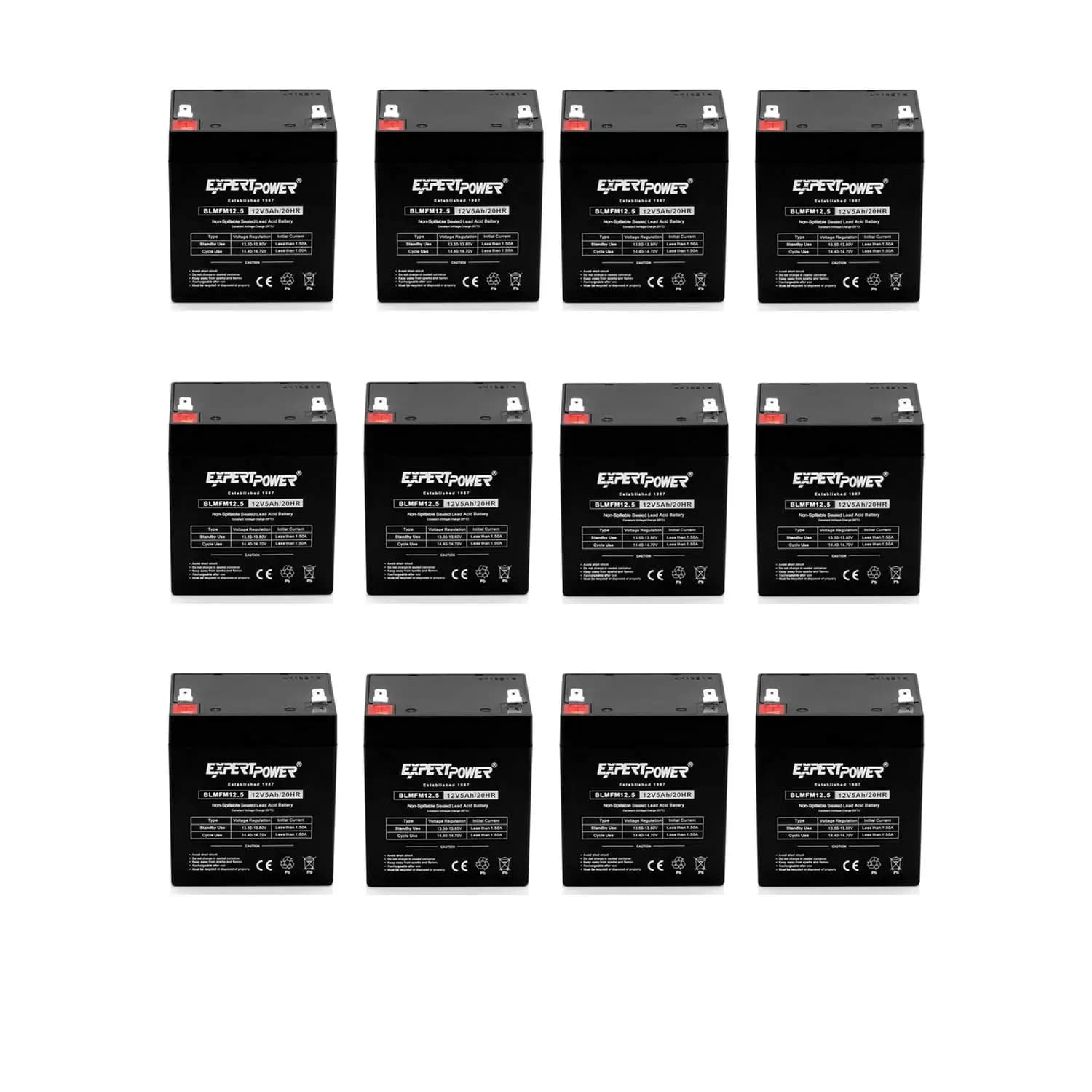 Batteria Ricaricabile SLA 12V 5Ah per Sistemi di Sicurezza, UPS, Apriporta Garage, Allarme Antincendio, Confezione da 12, Personalizzabile