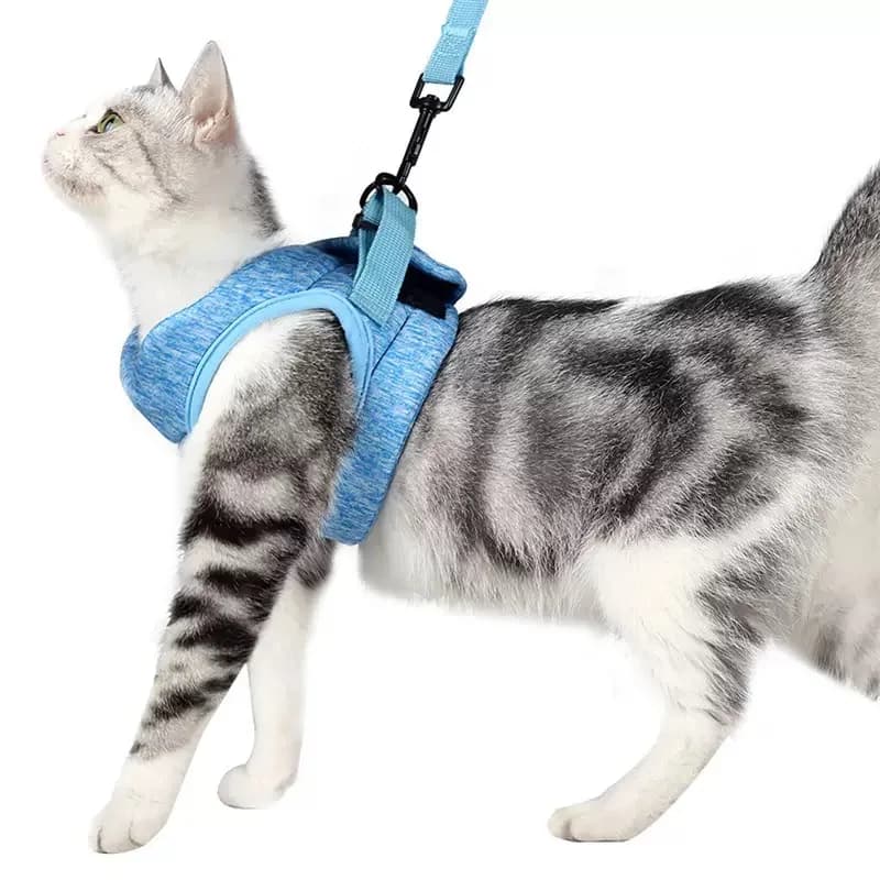Imbracatura per gatti regolabile con guinzaglio Cintura per imbracatura anti-fuga per gattino Leggero e traspirante Morbido gatto Cane Coniglio Gilet Cablaggio