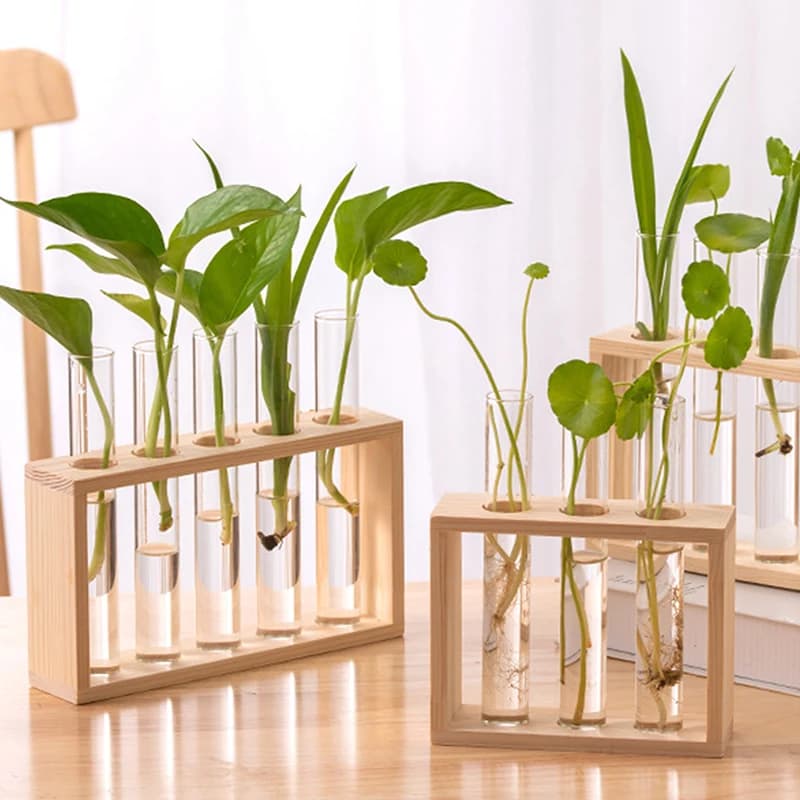 Container for hydroponic plants with wooden structure Transparent glass Jar for flowers Table bonsai decoration for the house Craftsmanship