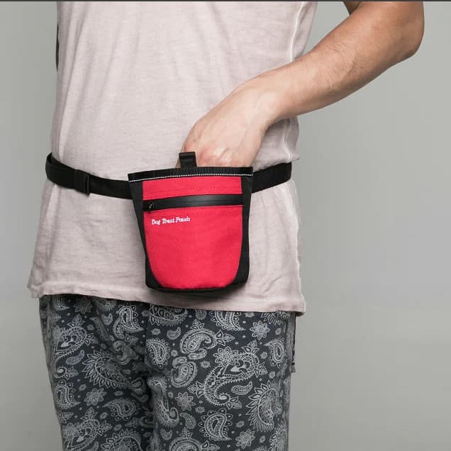 Borsa da addestramento per animali domestici Borsa da trasporto a mano a vita incrociata Marsupio interattivo per addestramento di cani Resistente alle macchie Lavabile e leggero