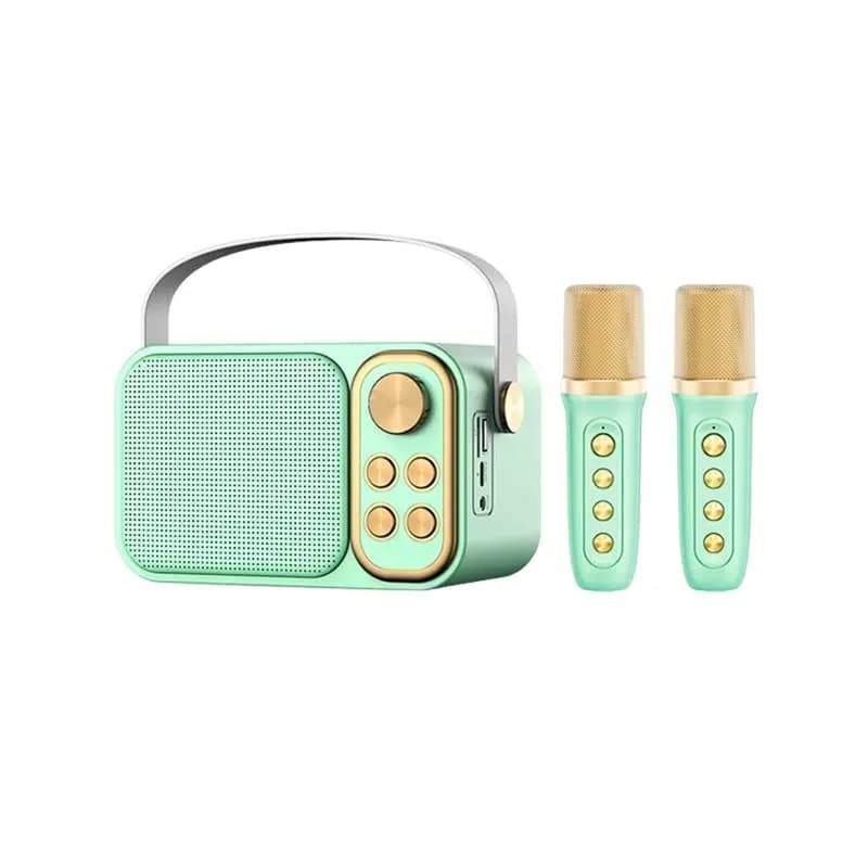 Sistema Karaoke Portatile per Casa e Famiglia, Altoparlante Bluetooth con 2 Microfoni Wireless, Regalo per Bambini