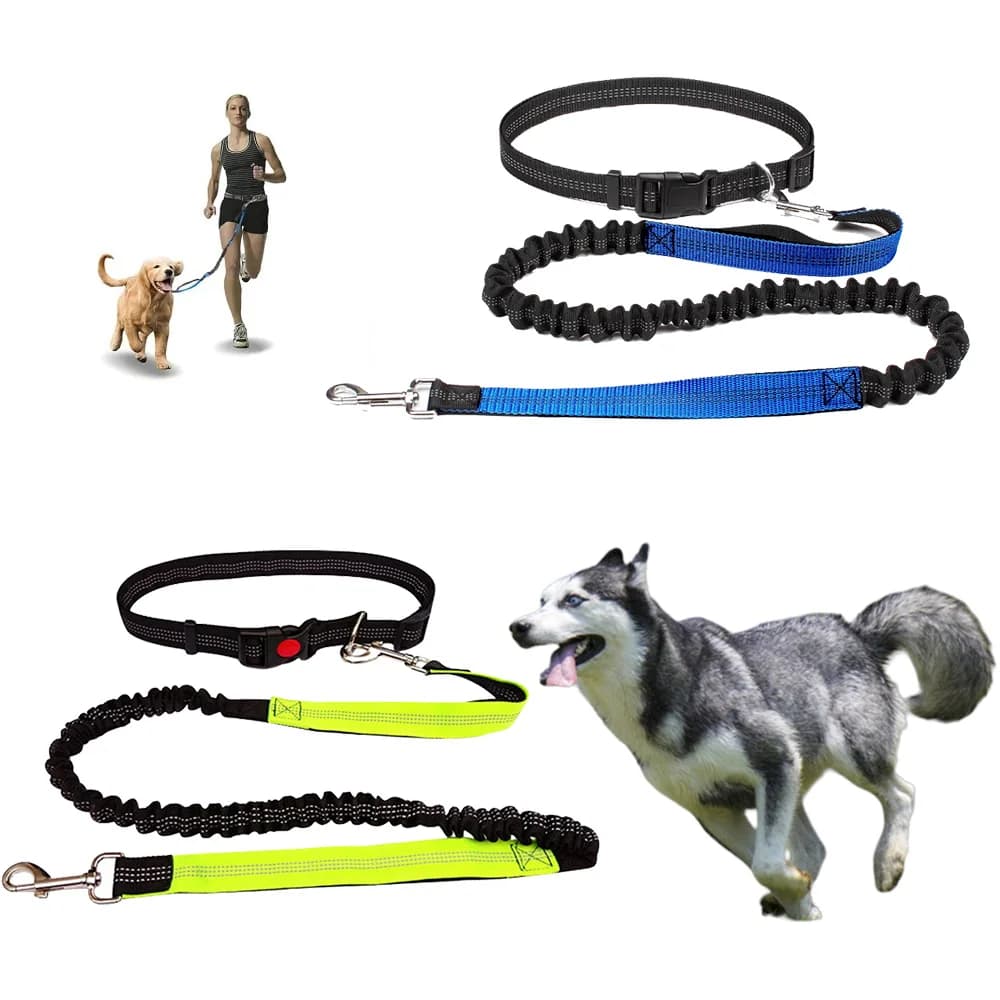 Reflective Guinzaglio Traction Corda Running Belt for Dogs Company Hands Free jogging Elastic Hands Pull leash for dogs Boys with Metal D ring Sling