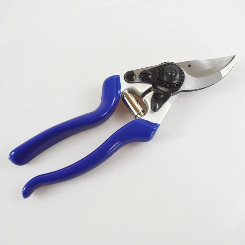 Professional garden pruning shears Hand pruning scissors for horticulture for efficient cutting of branches in orchards and plants