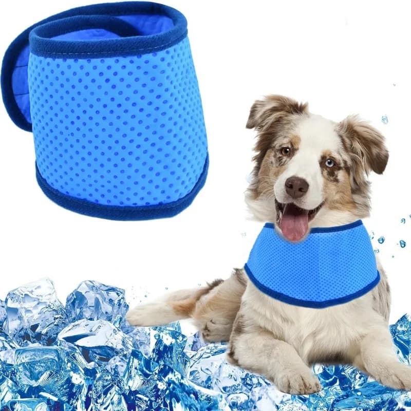 Dog Cooling Scarf Dog Heatstroke Prevention Scarf Cooling Sensation Scarf Pet Clothes Pet Heatstroke Prevention Supplies