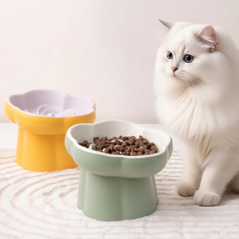 Ciotola in ceramica rialzata per alimentazione lenta, inclinata per protezione del collo, anti-soffocamento, antiscivolo, per gatti e cani di piccola taglia.