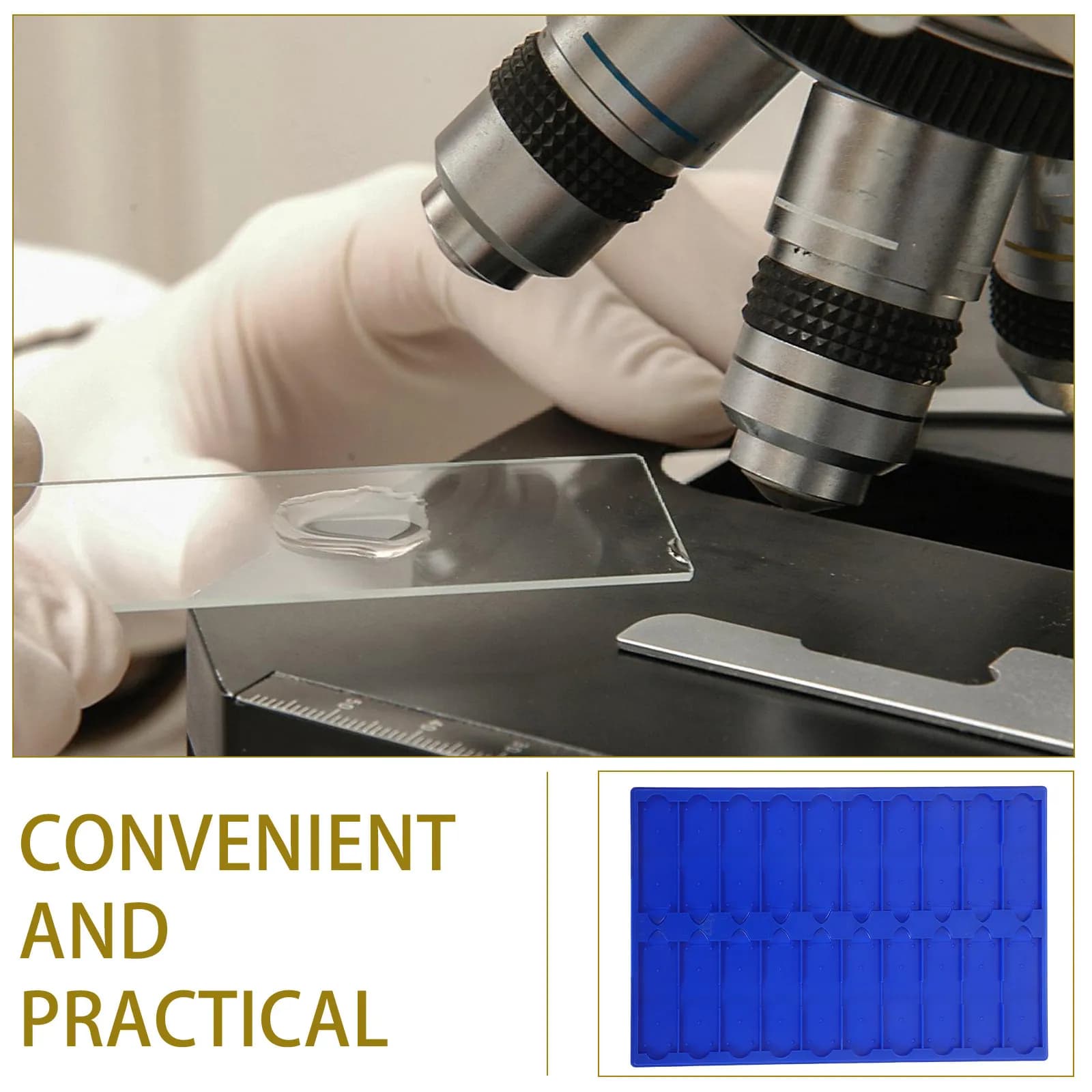 Set di 4 Vassoi per Asciugatura di Vetrini Microscopici, in Plastica Rinforzata con 20 Slot, Supporto Stabile per Laboratorio, Accelera l'Asciugatura dei Campioni