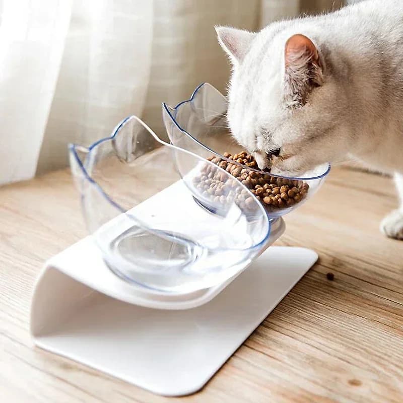 Ciotola per cani doppia ciotola per gatti antiscivolo con supporto Ciotola per acqua per gatti per alimentazione animali domestici per gatti Ciotole per animali domestici per cani