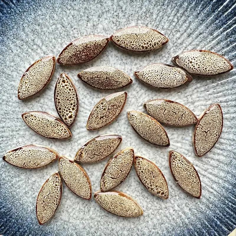 Piastrelle a mosaico in ceramica irregolari multicolori da 100 g Pietre fai-da-te per artigianato Hobby Arts Decorazione murale Petalo arte ovale 17