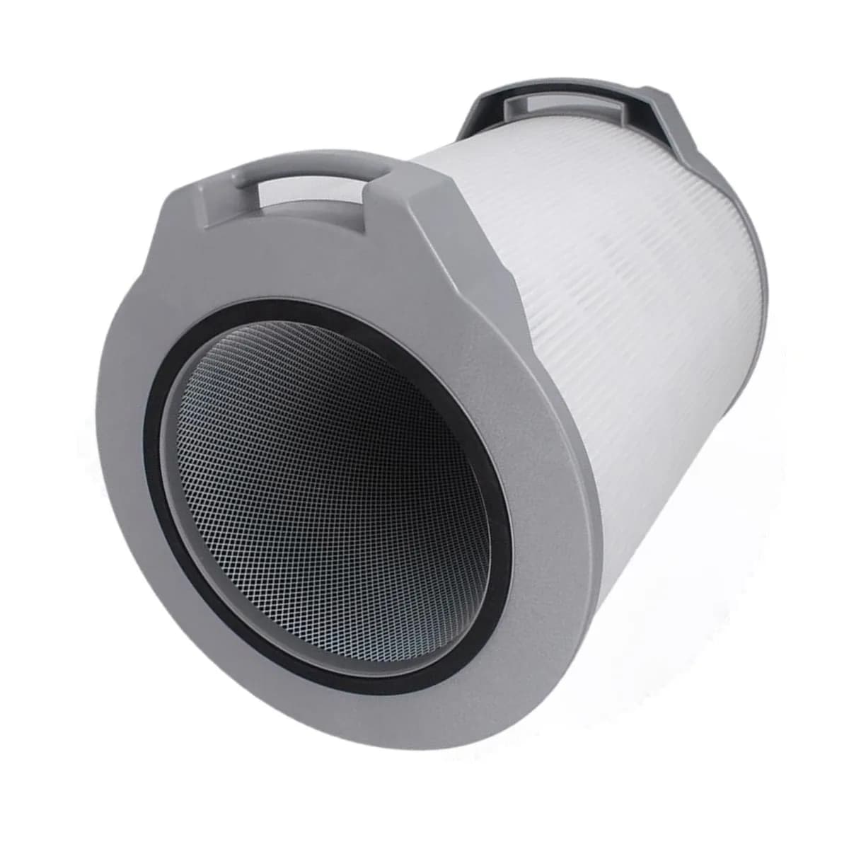 Filtro LV-H134 per purificatore d'aria Levoit LV-H134 Carbone attivo ad alta efficienza per la rimozione degli odori di fumo LV-H134-RF