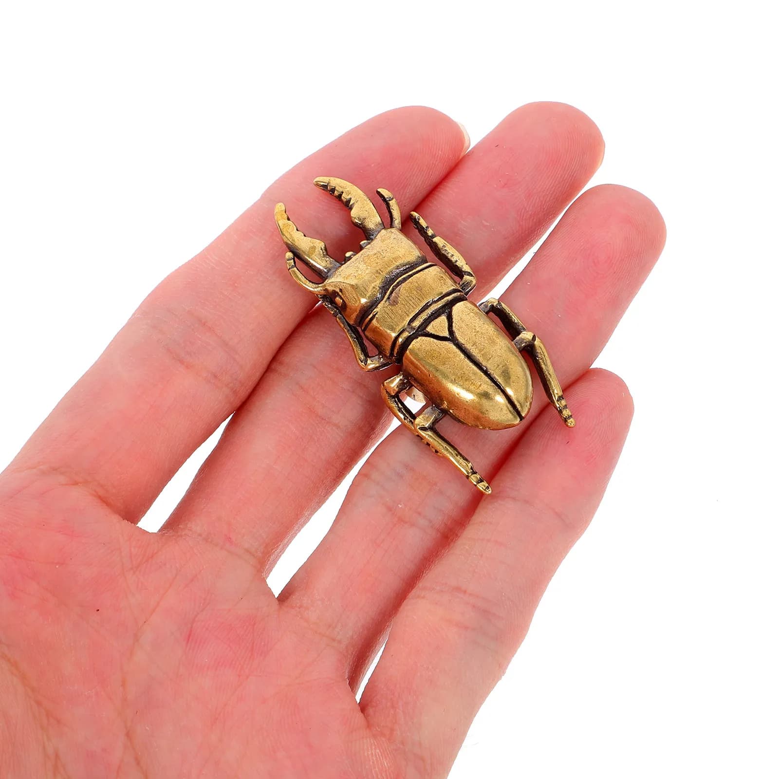 Maniglie per cassetti a forma di scarabeo in ottone, pomelli decorativi per mobili da cucina, cassettiere, armadi e ferramenta per mobili