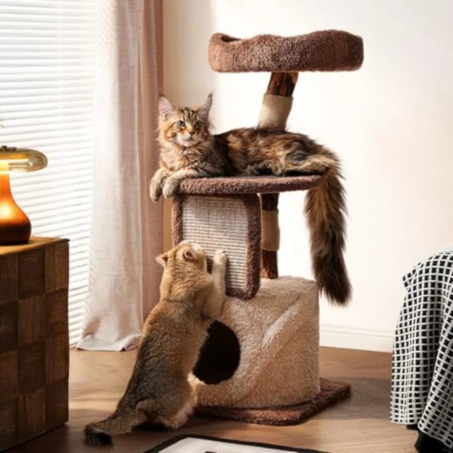 Torre per Gatti in Legno Massello Moderna da 40 Pollici, per Gatti da Interno, Grande e Robusta, con Tiragraffi e Cuccia