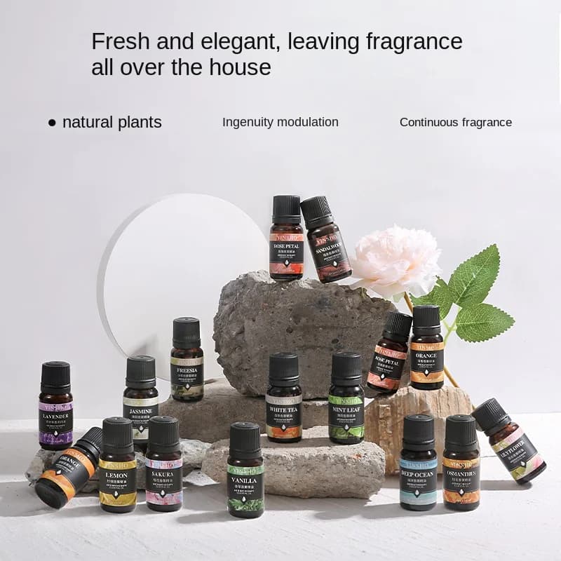 12 Sapori Oli Essenziali per Diffusore di Aroma Umidificatore Casa solubile in Acqua 10ml Deodorante per ambienti Profumi Olio Fragranza Profumo