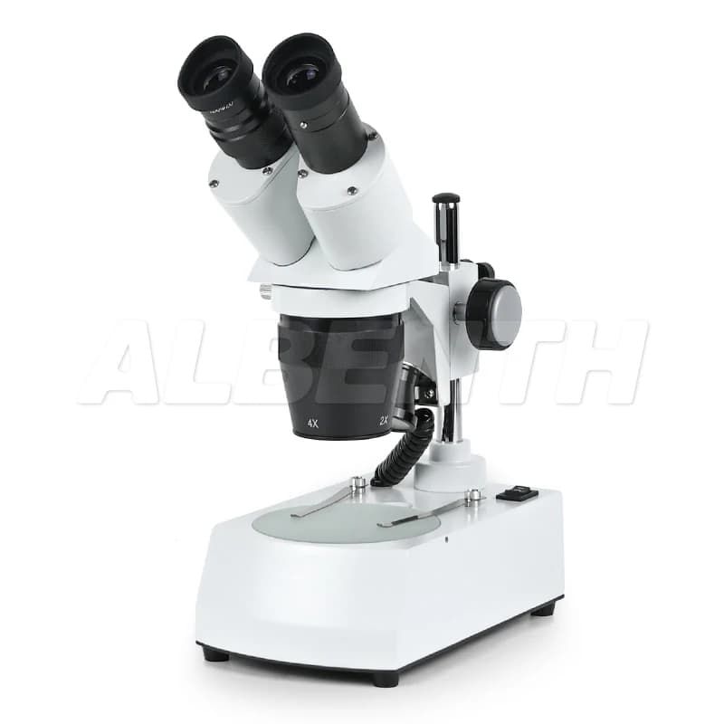 Microscopio stereo binoculare Albenth 20X 40X Piccolo microscopio portatile con luce LED superiore inferiore