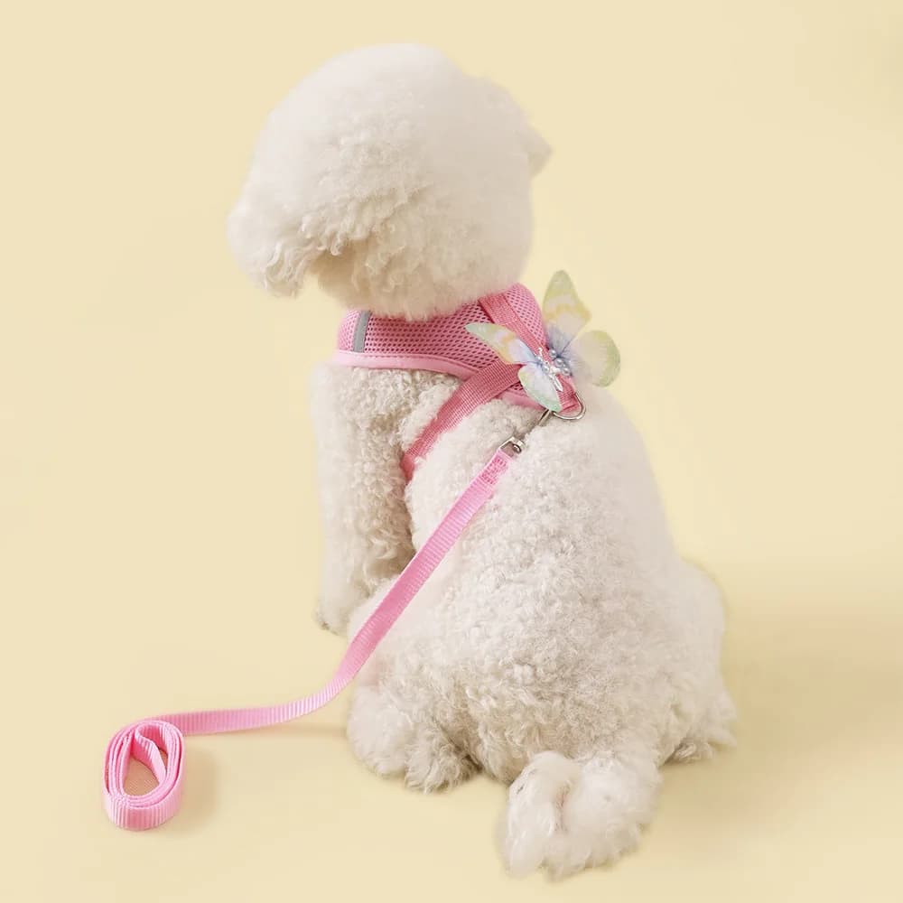 Set di imbracatura e guinzaglio per cani traspiranti di nuovo arrivo con design a farfalla - Gilet per cuccioli regolabile per cani di piccola taglia Comodo