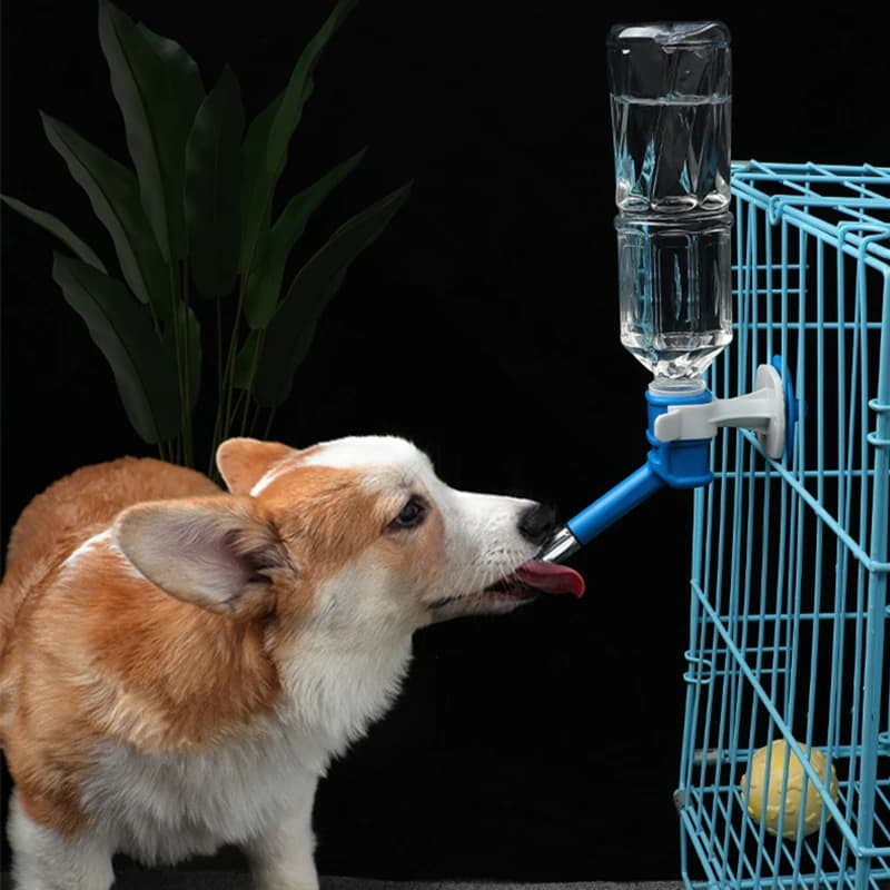 Pet Dog Cat Water Dispenser ugello Hanging Bottle Water Beverage Fountain Head ciotola per alimentatore a prova di perdite dispositivo per l'alimentazione dell'animale domestico