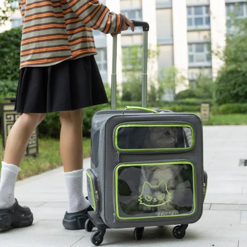 Borsa da Trasporto per Gatti Traspirante, Accessori per Cani, Borsa Trolley Pieghevole, Trasportini Interattivi per Animali e Attrezzatura da Viaggio