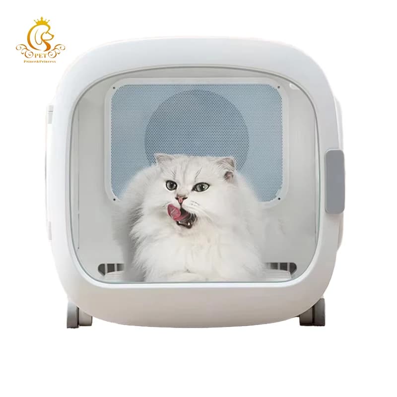 Automatic Portable Hair Dryer for Domestic Animals for Veterinary Hospitals and Bathing Shops, Ideal for Gatti Peel Drying