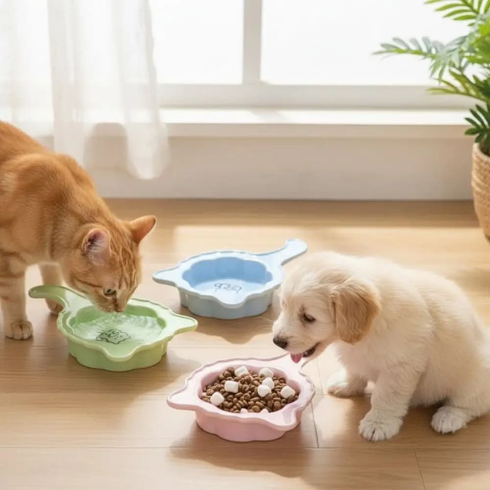 Ciotola in Ceramica per Cibo e Acqua per Gatti, Monocolore, Antiurto, Resistente all'Usura, con Manico, per Cani e Gatti