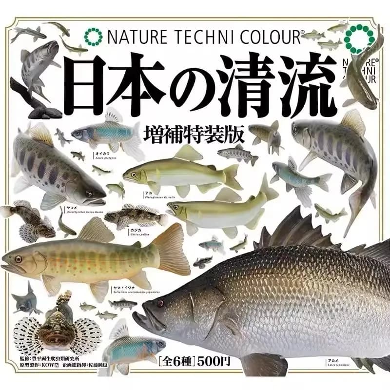 Supplemento di pesce giapponese Edizione speciale Gashapon Toys Sweetfish Sculpins Zacco Platypus Action Figure Modello Ornamenti Giocattoli