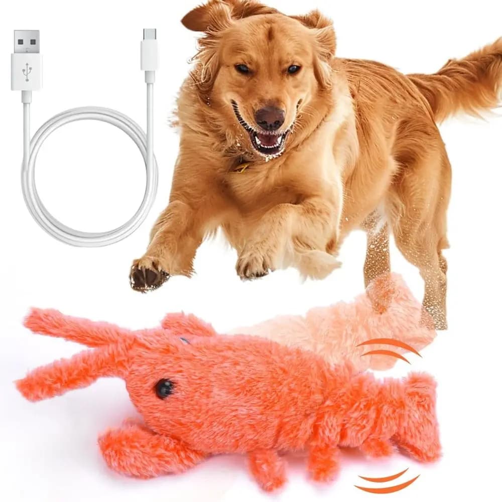 Giocattolo per Gatti a Forma di Aragosta con Ricarica USB, Danzante e Mobile, Lavabile, Giocattoli Elettrici per Animali Domestici, Giocattoli Interattivi Automatici per Cani da Esterno