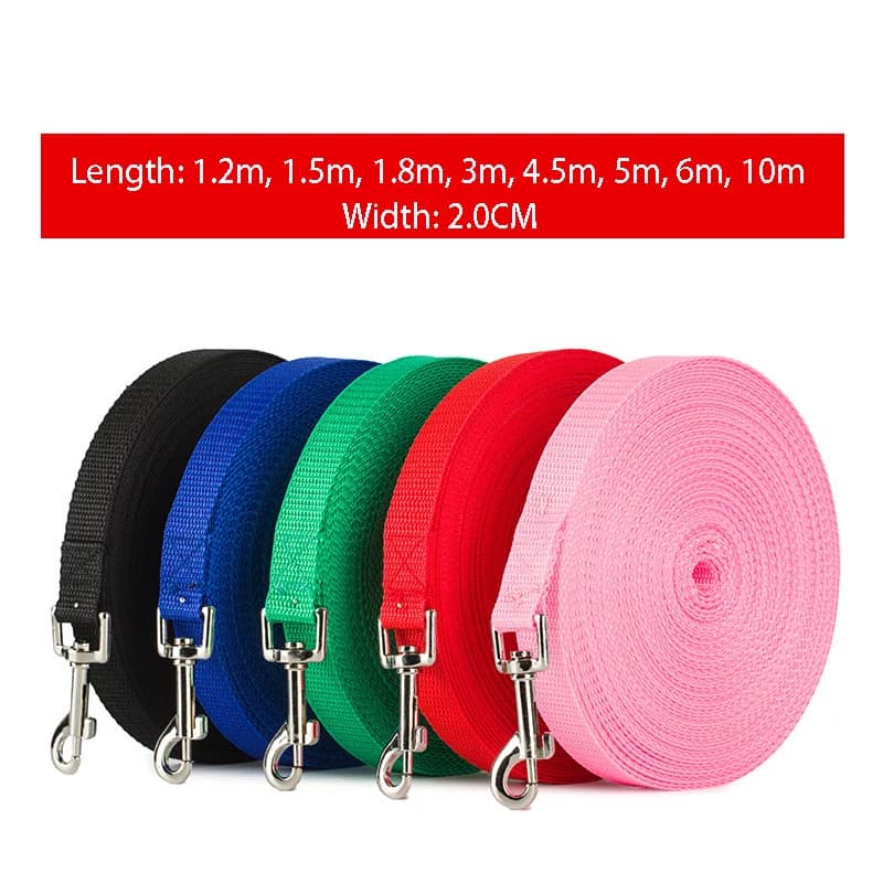 Longer Animal Guiquitoes Outdoor Training Wheelchair Running Dog Grip Dog Belt Dog Belt PP Dog Lead Chihuahua Dog Product Small and Large