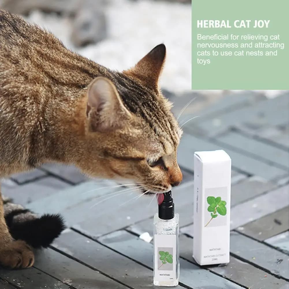 20/100ml A Base di Erbe Gatto Gioia Spray Sedano Animali Domestici Erba Gatta Spray Sedio Animali A Base di Erbe Gatto Gioia Regali di Lunga Durata ed Efficace Per Il Gatto